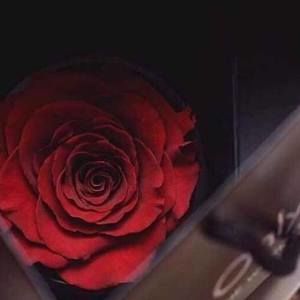 Meet your Posher, Duaa